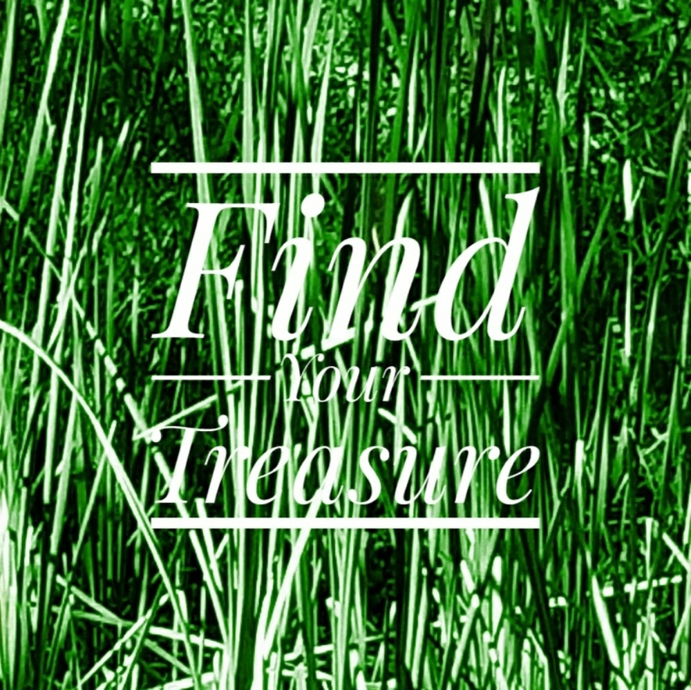 Find Your Treasure